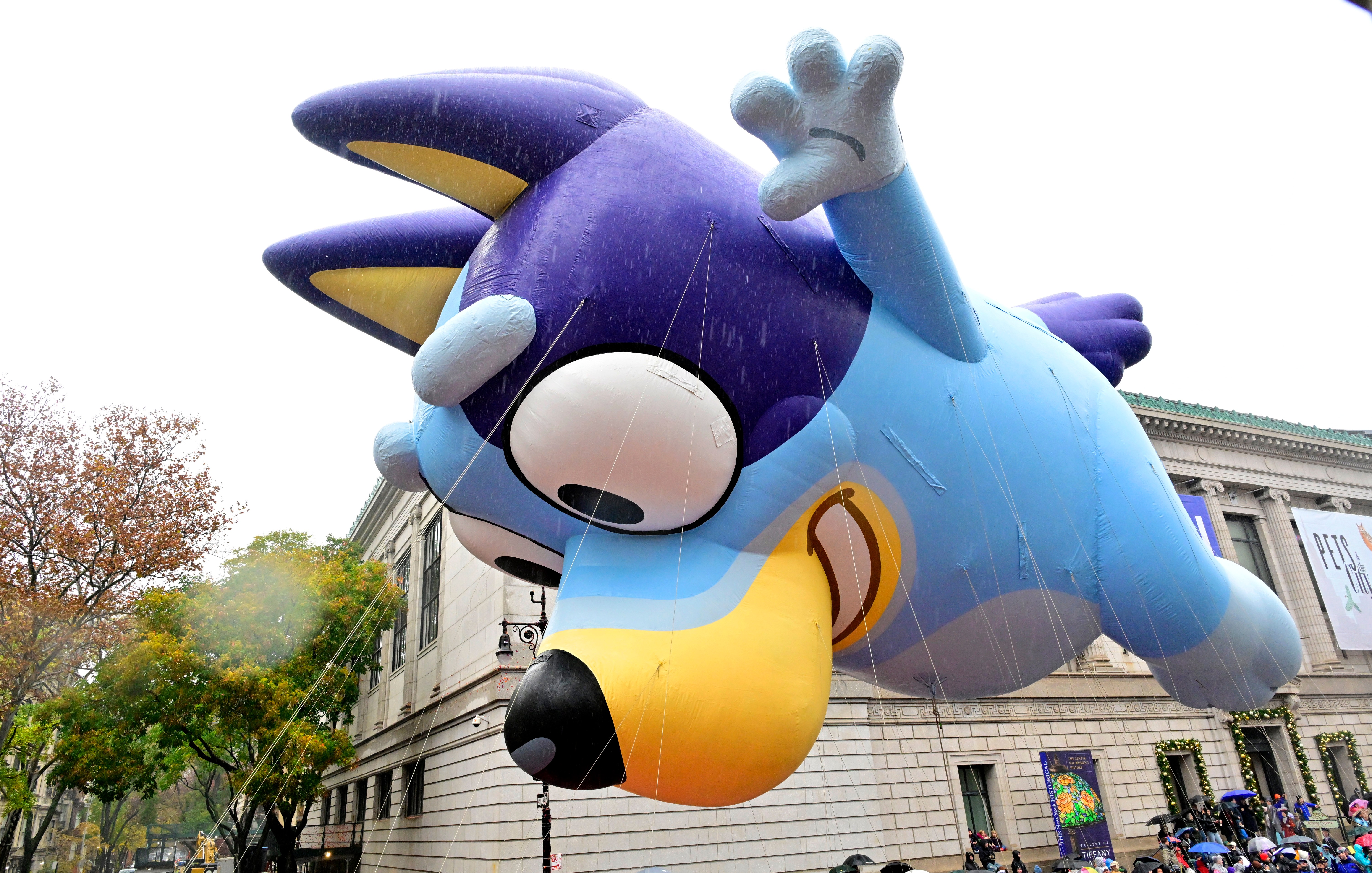 The Bluey Thanksgiving Balloon Pop, Explained - PopCulture.com