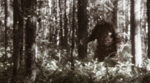 ‘Credible’ Bigfoot Sighting Leaves Hunter Scratching Head, ‘Freaked Out’