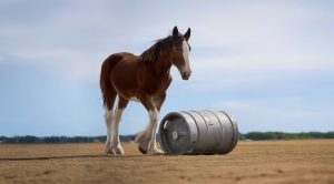 Budweiser Clydesdale Horse Commercial for Super Bowl 2025 Revealed