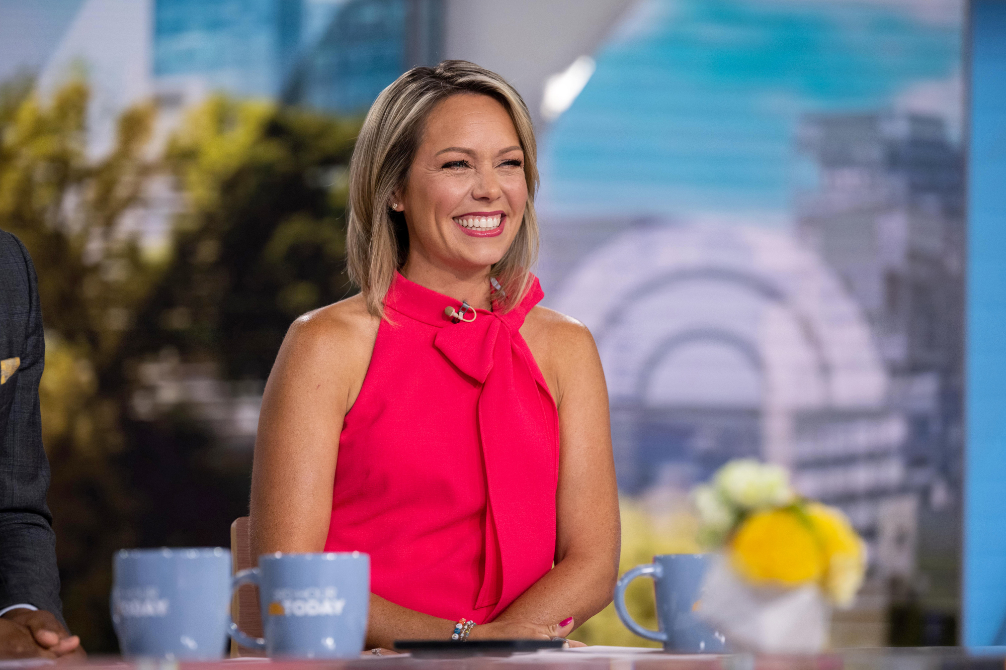 Today' Show Anchor Dylan Dreyer Shares Nightmare Airport Experience - PopCulture.com