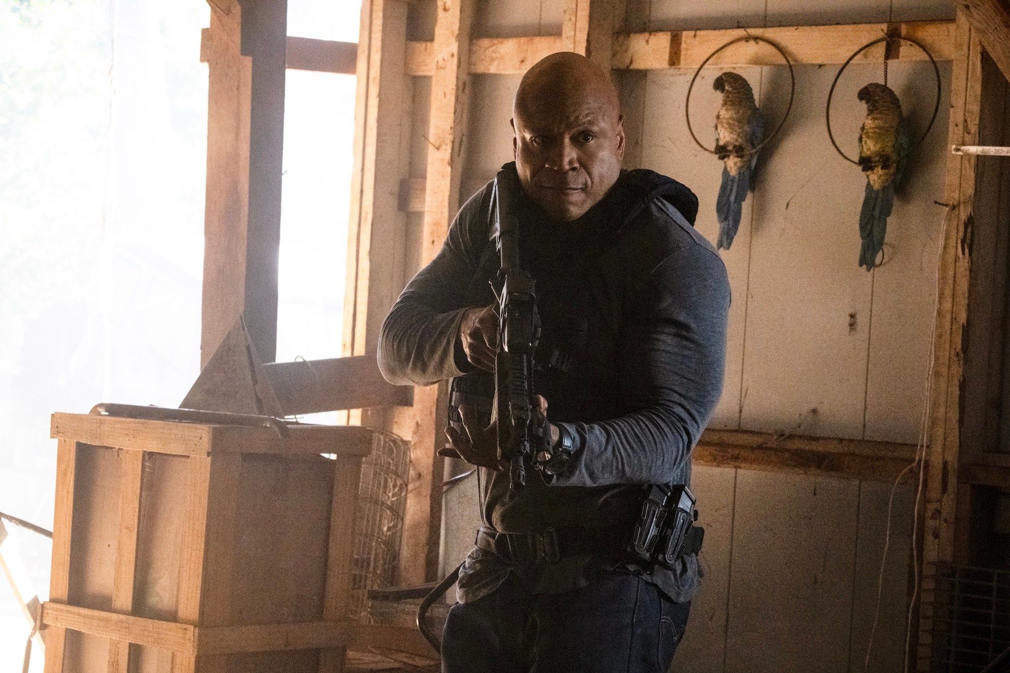 LL Cool J Reprising ‘NCIS: Los Angeles’ Role for ‘NCIS’ - PopCulture.com