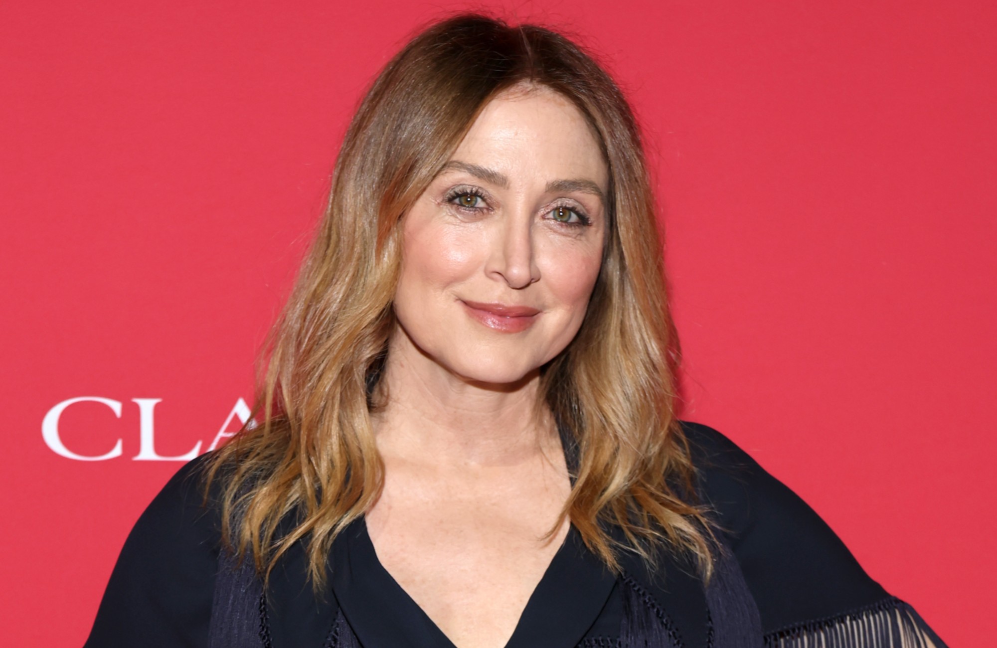 Rizzoli and Isles star Sasha Alexander joins The Lincoln Lawyer