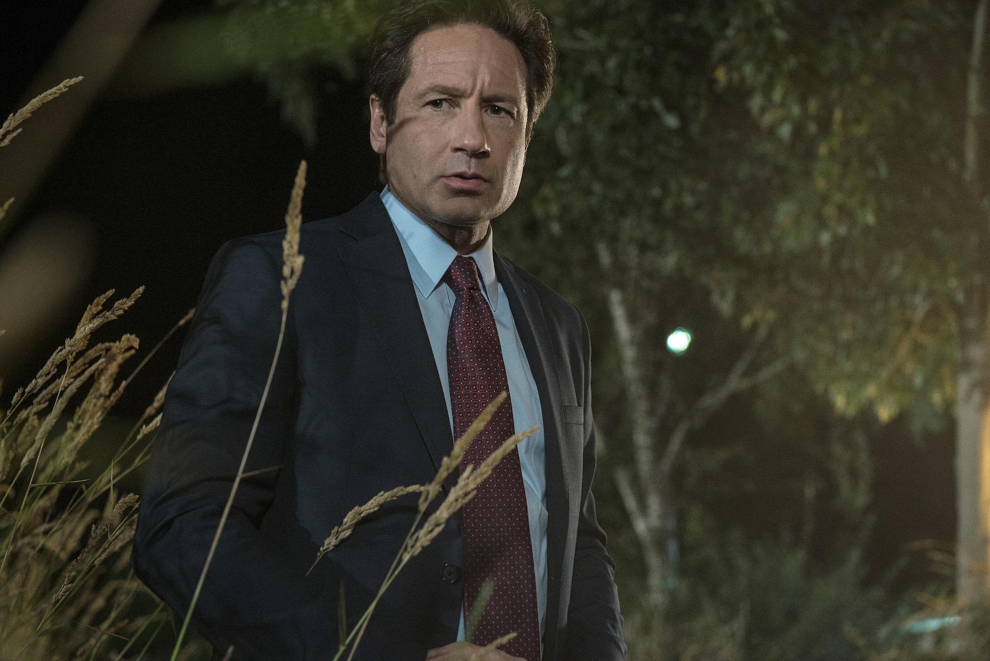【モルダー捜査官】X Files ／David Duchovny Auto! David Duchovny signed autographed 8x10 photo X-Files Fox