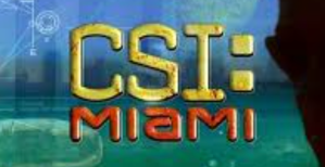 ‘CSI: Miami’ Actress Reveals She and Her Daughter Were Stalked for 12 Years