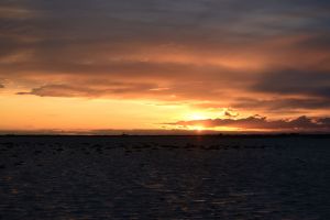 Claude Has Died, Cause of Death Revealed