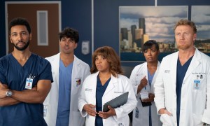 ABC Makes Decision on ‘Grey’s Anatomy’ Season 23