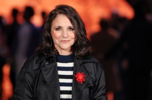 Julia Louis-Dreyfus’ Next TV Show Revealed