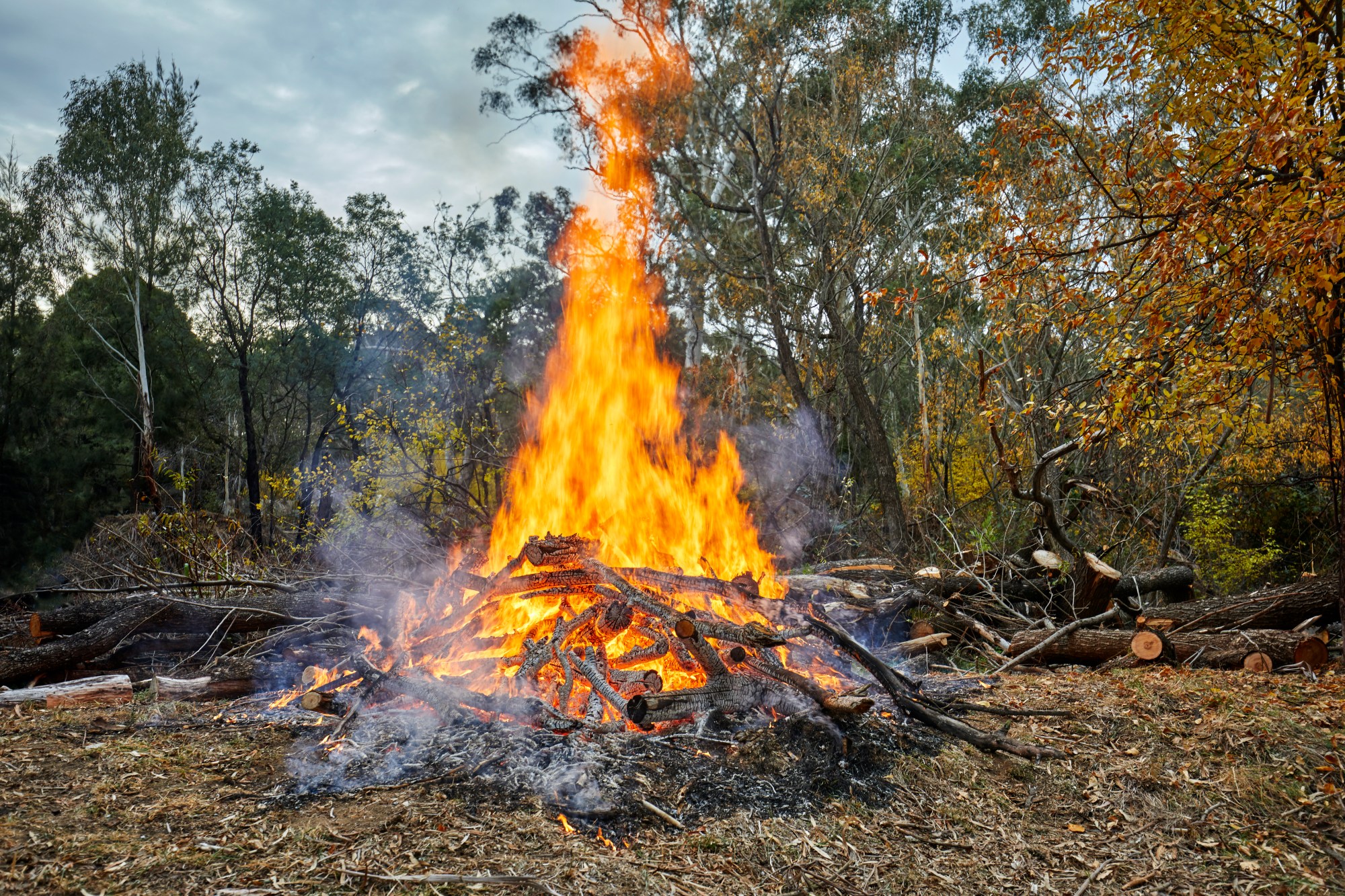 Reality TV Competitor Faints and Falls Into Fire, Suffers Serious Injuries