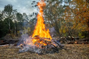 Reality TV Competitor Faints and Falls Into Fire, Suffers Serious Injuries